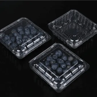 Envasado de arándanos con forma de almeja, caja de embalaje de fruta recién cortada, embalaje de fruta, embalaje de contenedor de fruta con forma de almeja de arándanos